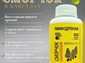 Сморчок обыкновенный в капсулах: сила весеннего гриба для здоровья суставов и красоты кожи