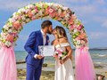 Фото компании  Paradis Wedding Cyprus 3