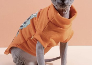 Фото компании ИП Smart animal 4