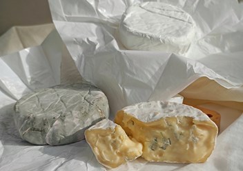 Фото компании  Земля сыра 5