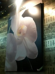 Фото компании  Love Суши, кафе-бар 25