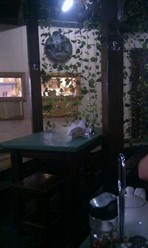 Фото компании  Шарк, кафе-бар 13