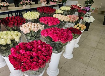 Фото компании ИП ЦветоБар 34