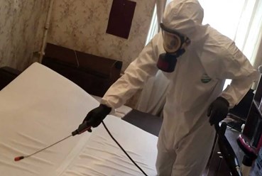 Фото компании ИП Дезозавр 1