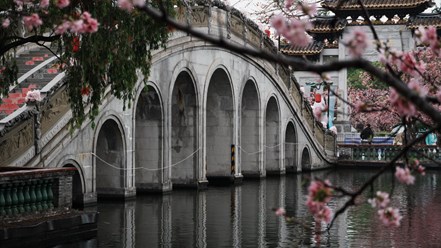 Тур в Пекин и Шанхай https://laoshitravel.com/beijingandshanghai