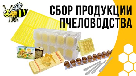 Сбор продуктов пчеловодства