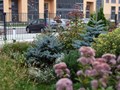 Фото компании ООО Цветочная семья 6