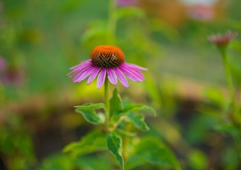 Фото компании  Home&Garden 2