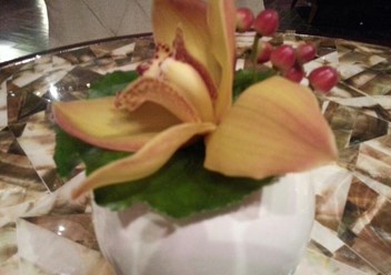 Фото компании  The Lounge, бар-ресторан 1