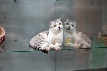 Фото компании ИП Terrakot 5