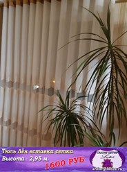 Фото компании  Lotos 8