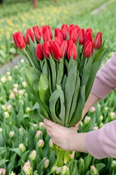 Фото компании ИП Серпуховский Цветочник 2