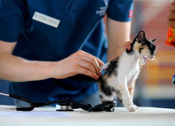 Фото компании ИП Шерлок 2