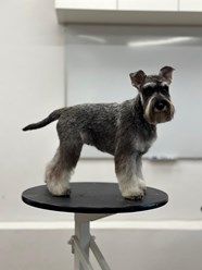 Фото компании  UrbanDog 16