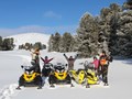 Снегоходные туры на Алтай