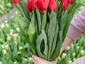 Фото компании ИП Серпуховский Цветочник 2