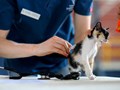 Фото компании ИП Шерлок 2