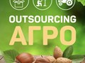 Команда Питомника Орехов №1 на

рабочем месте. Принимаем заказы и консультируем садоводов ежедневно с 10 до 20 часов