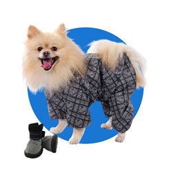 Фото компании ИП Dog is love 4