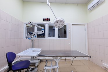 Фото компании  Центр ветеринарной офтальмологии доктора Шилкина А.Г. на ул. Островитянова 1