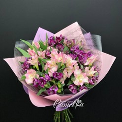 Фото компании  Camelia 5