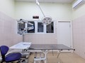 Фото компании  Центр ветеринарной офтальмологии доктора Шилкина А.Г. на ул. Островитянова 1