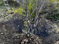 Фото компании  Мастер двор 3