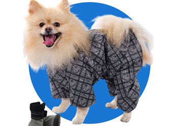 Фото компании ИП Dog is love 4