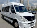 Фото компании  Gotosib 6