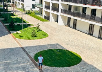 Фото компании ИП Ставропольские рулонные газоны 4