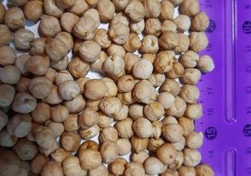 Фото компании ООО Агрокомплекс 1