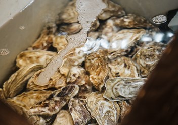 Фото компании  Picasso (Пикассо) 6