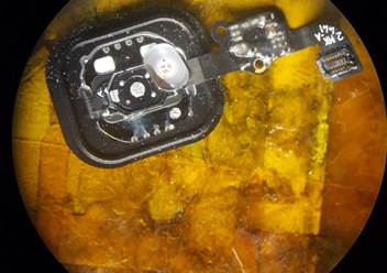 Фото компании  Сварог 3