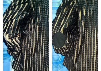 Фото компании  АТЕЛЬЕ-МАСТЕРСКАЯ на Карла Либкнехта 1