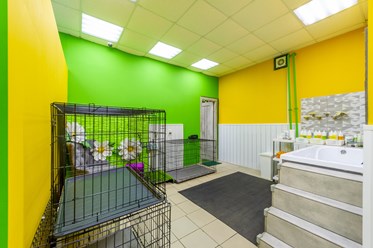 Фото компании  ВертиХвостка 7