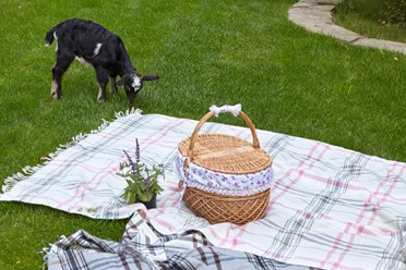 Фото компании  НАША Dacha, ресторан 112