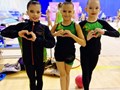 Фото компании  Всероссийская сеть детских спортивных школ по художественной гимнастике и спортивной акробатике «FD» 3