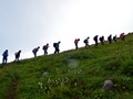 https://www.facebook.com/ArmlandAdventure