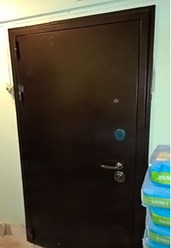 Порошковые входные двери