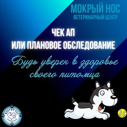 Фото компании ООО Мокрый нос 3