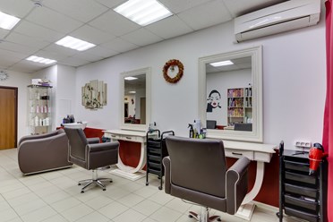 Фото компании  Мускат 8