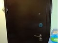 Порошковые входные двери