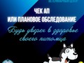 Фото компании ООО Мокрый нос 3
