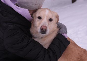 Фото компании  РОО «Экология человека» 6