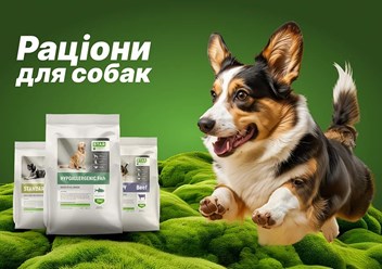 Фото компании ООО Стардейл 1