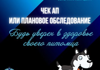 Фото компании ООО Мокрый нос 3