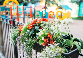 Детская площадка