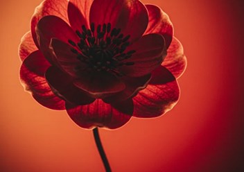 Фото компании ИП Suol perfumes 4