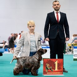 Фото компании  Iriskisdogs 3