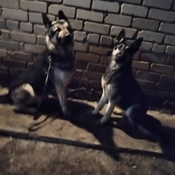 Фото компании  Школа Лидеров Дон 2